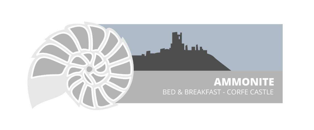 Ammonite Bed & Breakfast Corfe Castle Zewnętrze zdjęcie