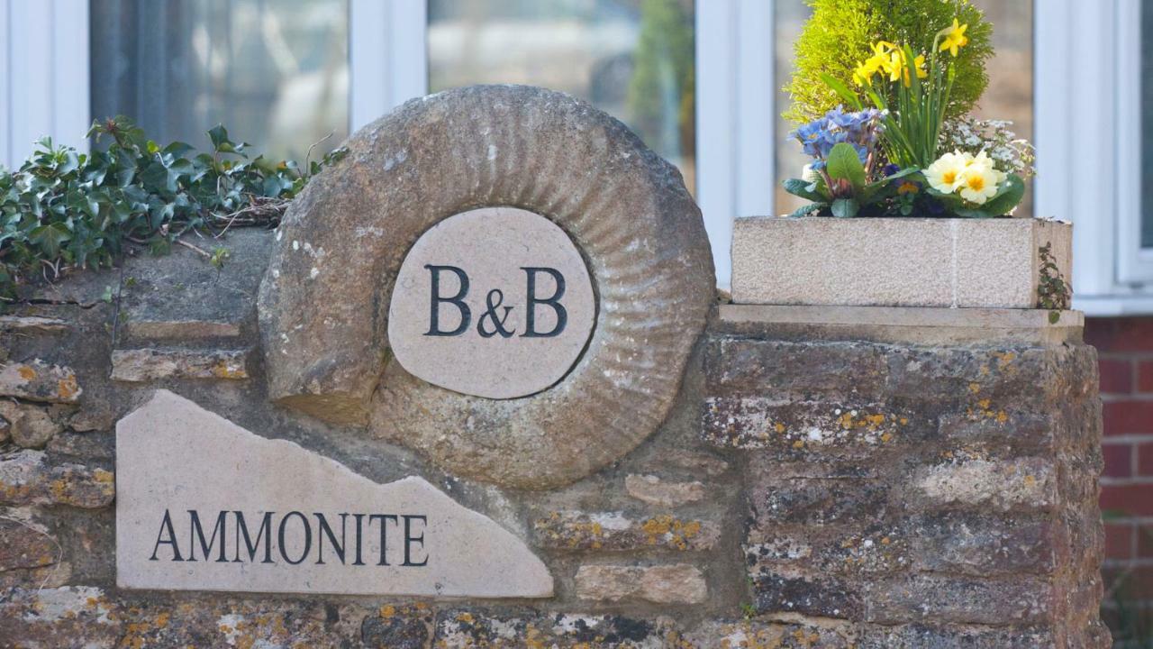 Ammonite Bed & Breakfast Corfe Castle Zewnętrze zdjęcie