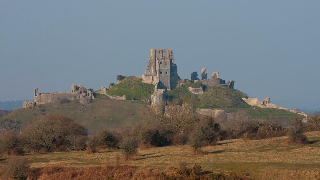 Ammonite Bed & Breakfast Corfe Castle Zewnętrze zdjęcie